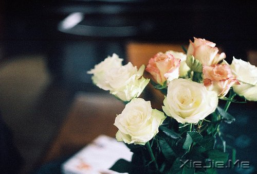 晚安心语：把生活转个身，重新开始 (6)