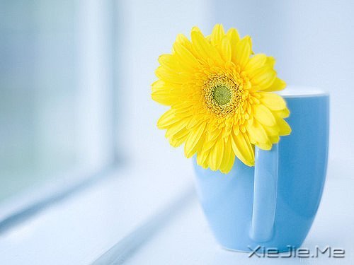 晚安心语：把生活转个身，重新开始 (10)