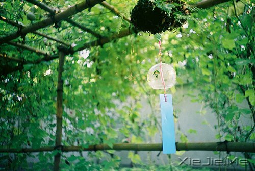 早安心语：成为自己想成为的人，这从来不迟 (7)
