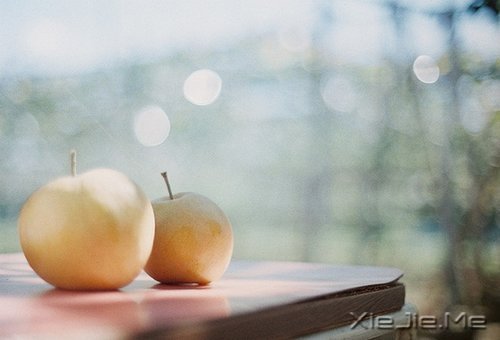 早安心语：成为自己想成为的人，这从来不迟 (10)