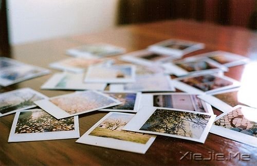 歌词心语：那些如人意 贴人心的歌词 (9)